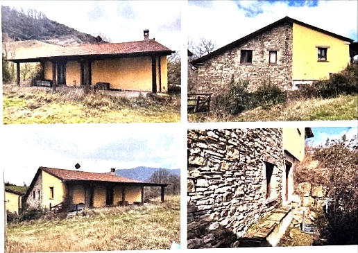 immagine annuncio 1 di 3