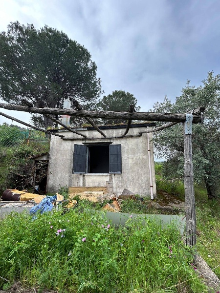 immagine annuncio 7 di 13