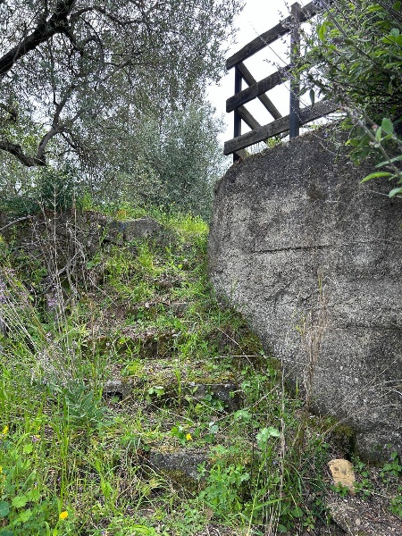 immagine annuncio 10 di 13