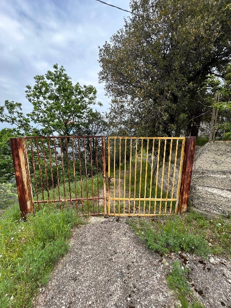 immagine annuncio 11 di 13