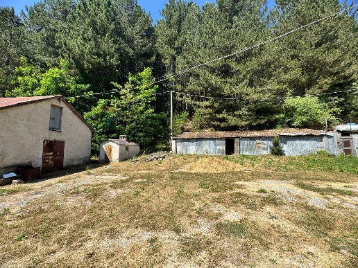 immagine annuncio 2 di 13