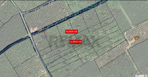 Foto Terreno agricolo in torre voluta torricella, Corigliano-Rossano