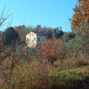 Foto Casa indipendente in Contrada san Filippo, Servigliano di 300 m²