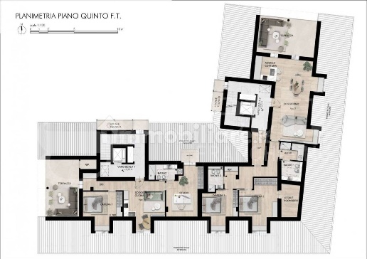 immagine annuncio 7 di 14