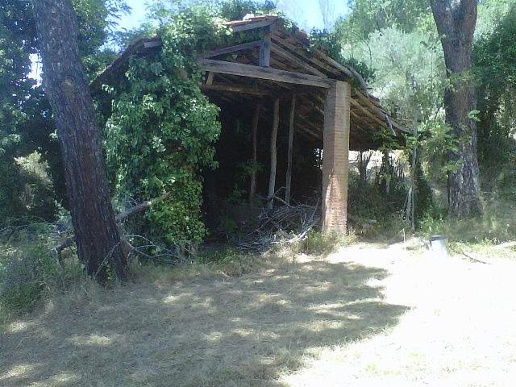 immagine annuncio 4 di 8