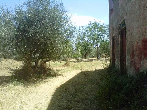 immagine annuncio 5 di 8