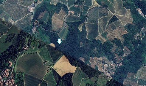 Foto Terreno agricolo a Santa Giuletta di 54811 m² in vendita