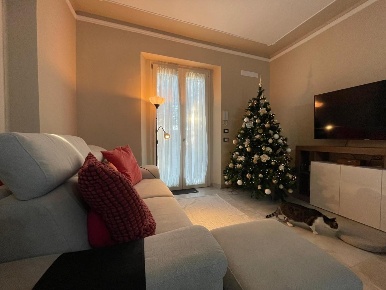 Foto Villa unifamiliare a Lucca Arancio di 350 m² con 12 locali in vendita