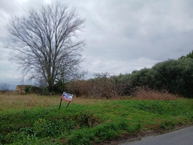 Foto Terreno agricolo a Vecchiano Vecchiano Nodica di 3500 m² in vendita
