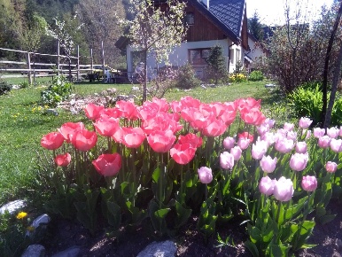 Foto Villa unifamiliare a Malborghetto Valbruna di 240 m² con 5 locali