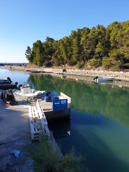 immagine annuncio 11 di 15