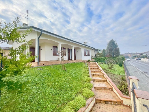 immagine annuncio 0 di 15