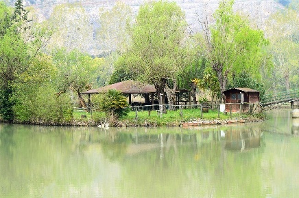 Foto Villa unifamiliare in Via Ponte Pellegrino 1, Pontelatone di 835 m²