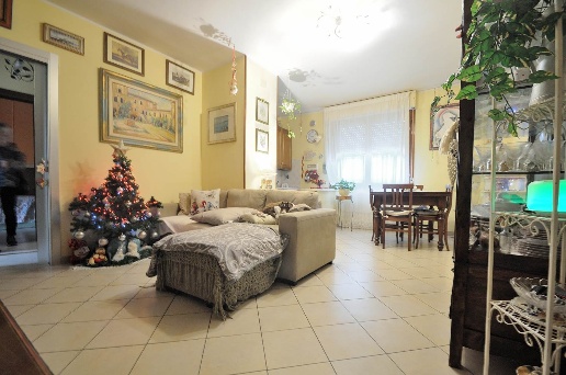 immagine annuncio 2 di 12