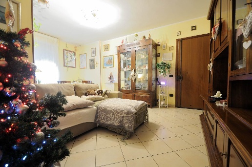 immagine annuncio 3 di 12