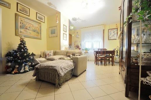 immagine annuncio 5 di 12