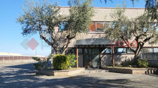 Foto Capannone industriale in Ragusa, Albano Laziale Pavona di 1000 m²