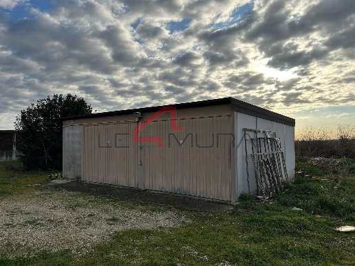 immagine annuncio 12 di 13