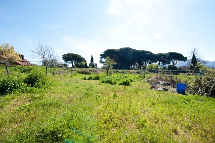 Foto Terreno edificabile in Via Guglielmo Quattrucci 382, Grottaferrata