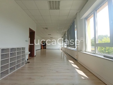 Foto Ufficio a Lucca San Concordio di 300 m² con 7 locali in affitto