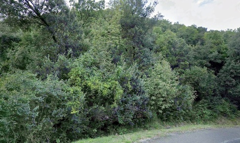 Foto Terreno agricolo in Strada Comunale di Sassa, di 33492 m² in vendita