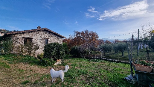 Foto Rustico in via  santa maria, Montopoli di Sabina di 241 m² in vendita
