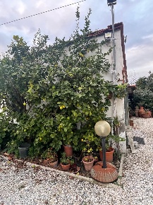 Foto Villa bifamiliare a Lucca San Marco - Acquacalda di 170 m² in vendita