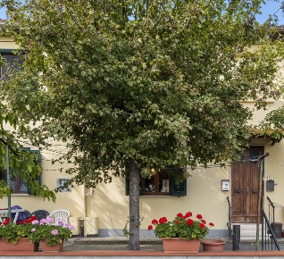 Foto Appartamento a Ponsacco Centro di 84 m² con 4 locali in vendita