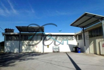 Foto Capannone industriale in via pesciatina  322, Capannori di 720 m²