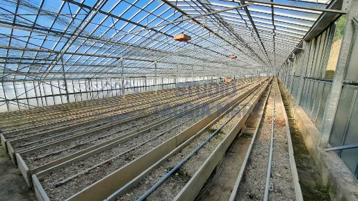 Foto Terreno agricolo in Strada Del Colle 15, Sanremo Bussana di 3000 m²