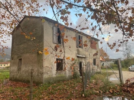 immagine annuncio 4 di 8