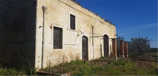 Foto Terreno agricolo in S.P. 231, Cerignola di 700 m² in vendita