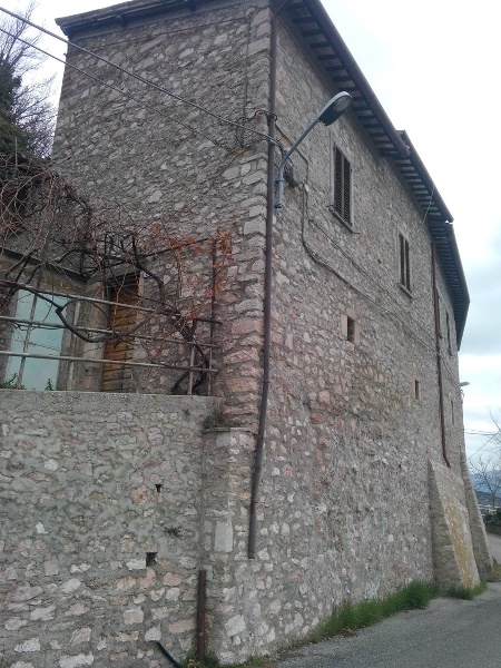 immagine annuncio 12 di 14