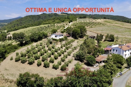 Foto Casale in SR68, Riparbella di 660 m² con 6 locali in vendita