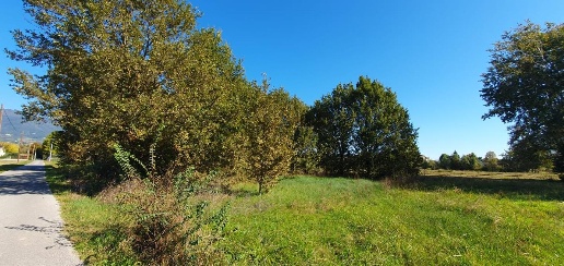Foto Terreno agricolo a Capannori Segromigno - San Colombano di 1690 m²