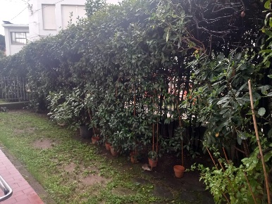 Foto Appartamento a Massa Centro di 83 m² con 4 locali in vendita