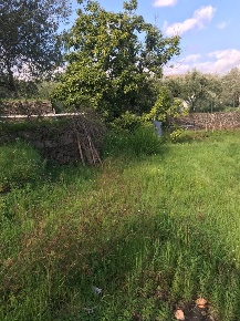 Foto Terreno agricolo in Via Fichera 1, Santa Venerina Centro in vendita