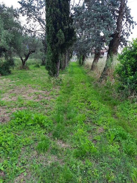 immagine annuncio 1 di 4