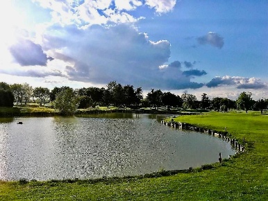 Foto Appartamento a Martellago Centro di 130 m² con 7 locali in vendita