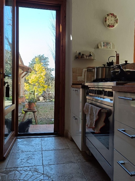 immagine annuncio 4 di 14