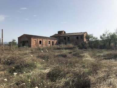 Foto Rustico a Asciano di 500 m² in vendita