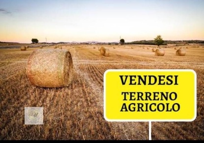 Foto Terreno agricolo a Campi Bisenzio Sant'Angelo, Vingone di 7500 m²