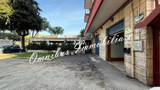 Foto Attività commerciale in viale michelangelo, Foggia Immacolata