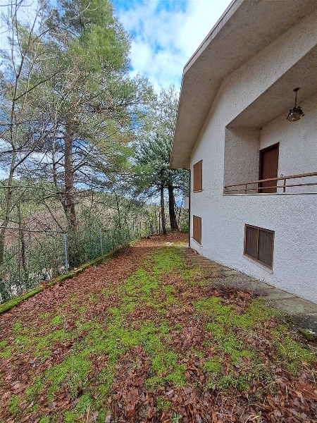 immagine annuncio 3 di 8