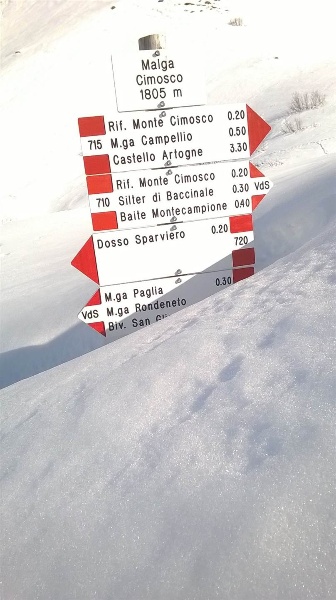 immagine annuncio 9 di 15