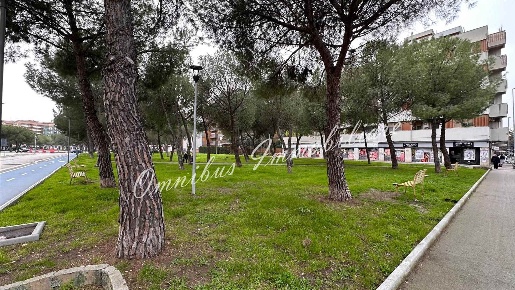Foto Appartamento a Foggia San Ciro - Stadio di 139 m² con 4 locali