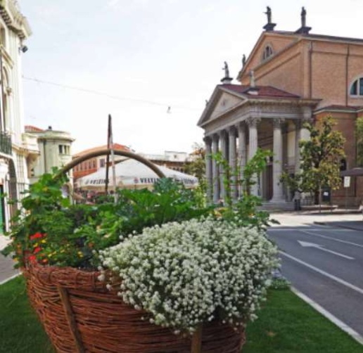 immagine annuncio 12 di 15