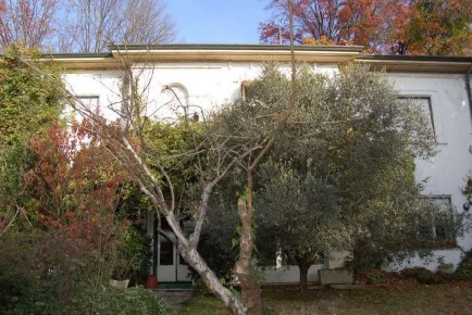 Foto Villa unifamiliare in Via Mazzini, Albizzate di 393 m² con 1 locali