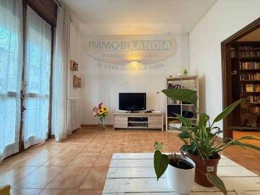 immagine annuncio 5 di 14