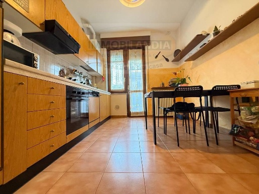 immagine annuncio 12 di 14